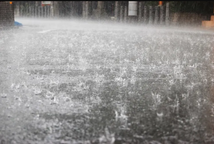 雨